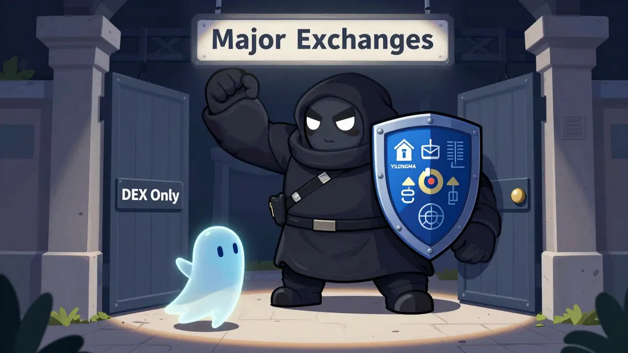 Concept art of major exchange gatekeeper rejecting risky meme coin token
